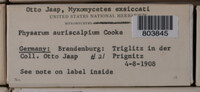 Image Associated With the Occurence